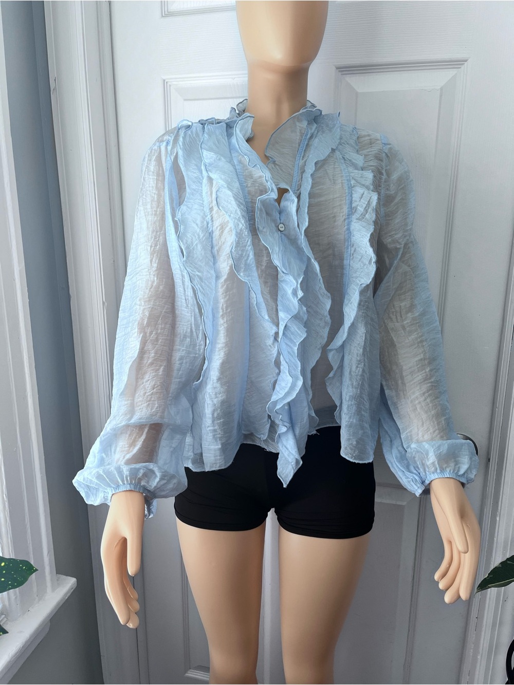 Zara Light Blue Ruffle Sheer Button-Front Blouse